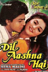 دانلود فیلم Dil Aashna Hai (…The Heart Knows) 1992