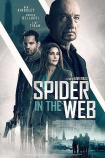 دانلود فیلم Spider in the Web 2019