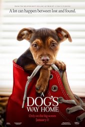 دانلود فیلم A Dog’s Way Home 2019