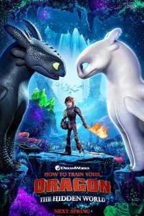 دانلود فیلم How to Train Your Dragon: The Hidden World 2019