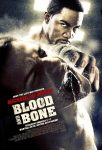 دانلود فیلم Blood and Bone 2009