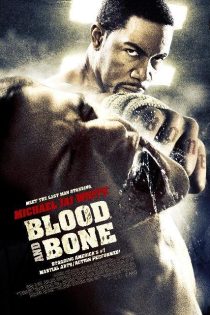 دانلود فیلم Blood and Bone 2009