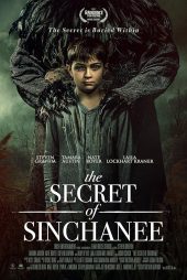 دانلود فیلم The Secret of Sinchanee 2021