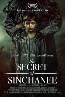 دانلود فیلم The Secret of Sinchanee 2021