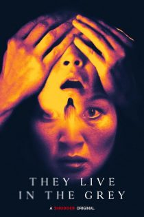 دانلود فیلم They Live in the Grey 2022