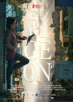 دانلود فیلم The Pigeon 2018