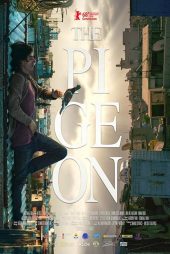 دانلود فیلم The Pigeon 2018