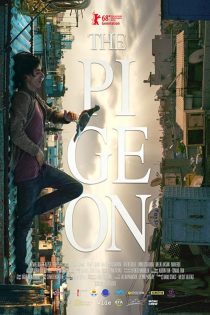 دانلود فیلم The Pigeon 2018