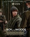 دانلود فیلم The Boy in the Woods 2024