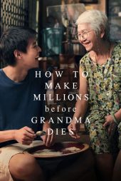 دانلود فیلم How to Make Millions Before Grandma Dies 2024